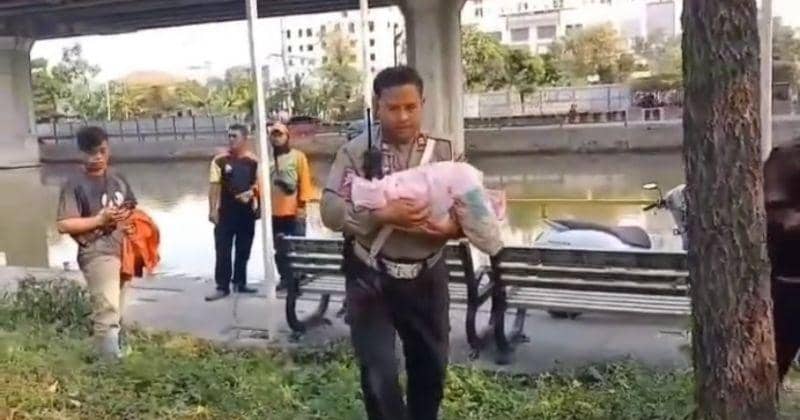 Instagram.com/poldametrojaya